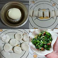 #春日尝鲜#春日美食/苔菜蒸饺的做法图解9