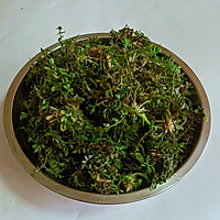 Natural Flavor/Chive and Egg Stir-fry Step 1