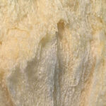 The taste of spring~ frog on a stone slab